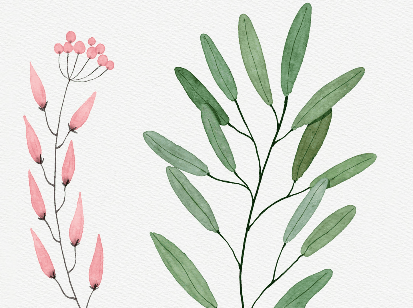 756 Procreate 20 Realistic Watercolor Brushes + 3 Textured Paper Set - whaledesign