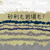 769 Procreate Stone and Gravel Brush - whaledesign