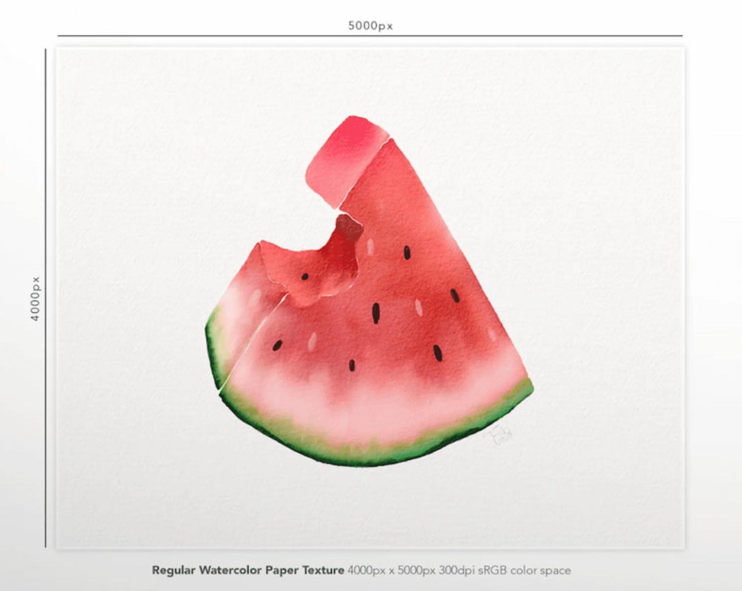 783 Procreate Stunning Watercolor Tool Set - whaledesign
