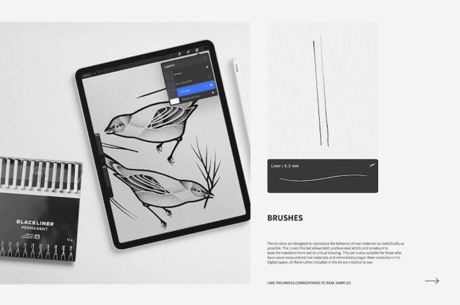 788 Professional Smooth Outlining Brush - whaledesign