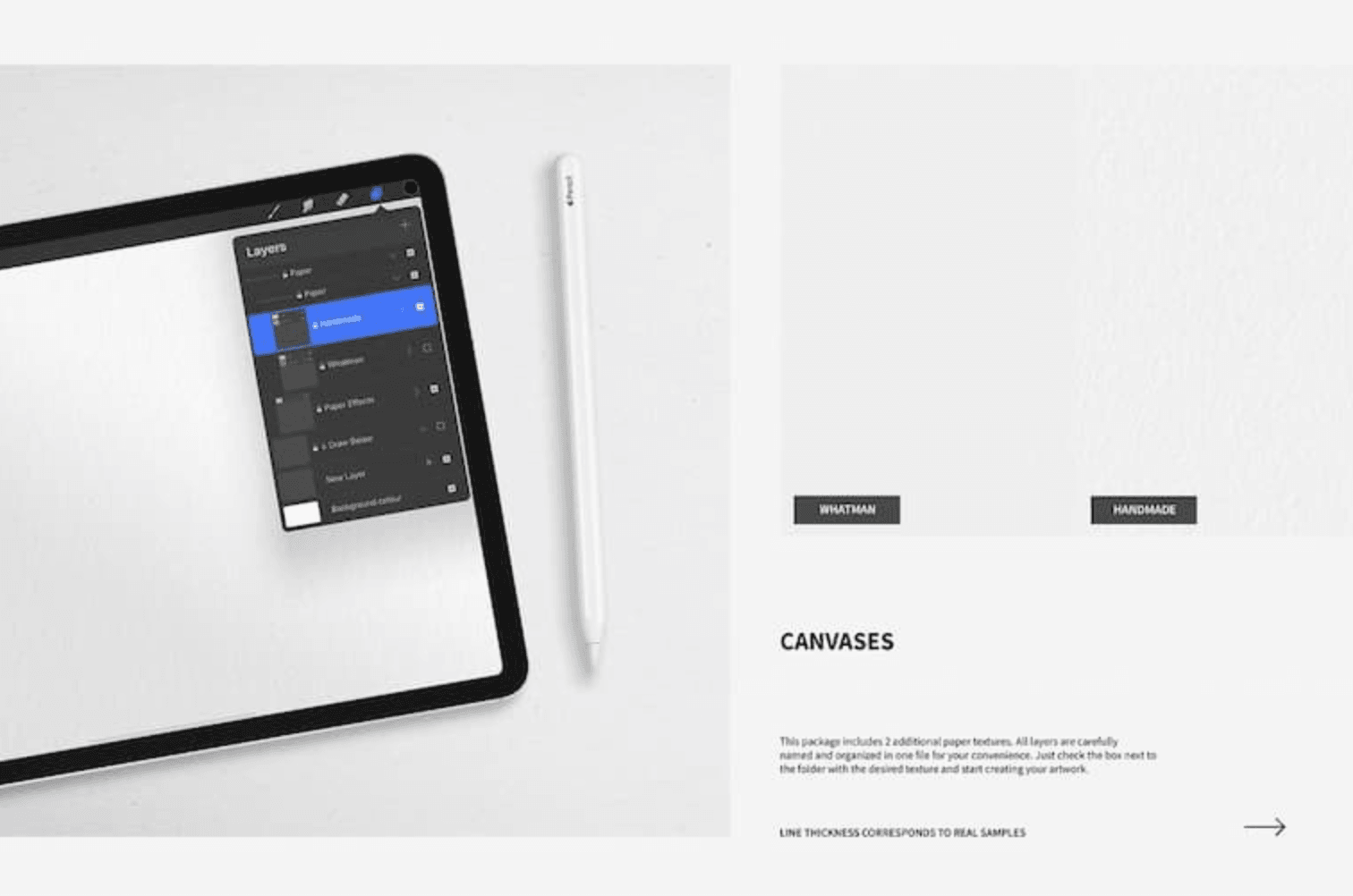 788 Professional Smooth Outlining Brush - whaledesign
