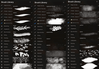 811 Gagatkas Brush Collection - whaledesign