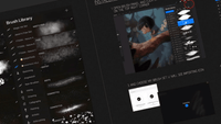 811 Gagatkas Brush Collection - whaledesign