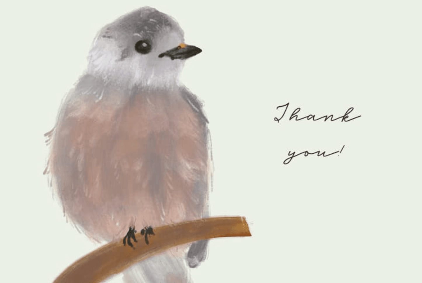 829 Drawing, Texture, and Pencil Brushes - whaledesign