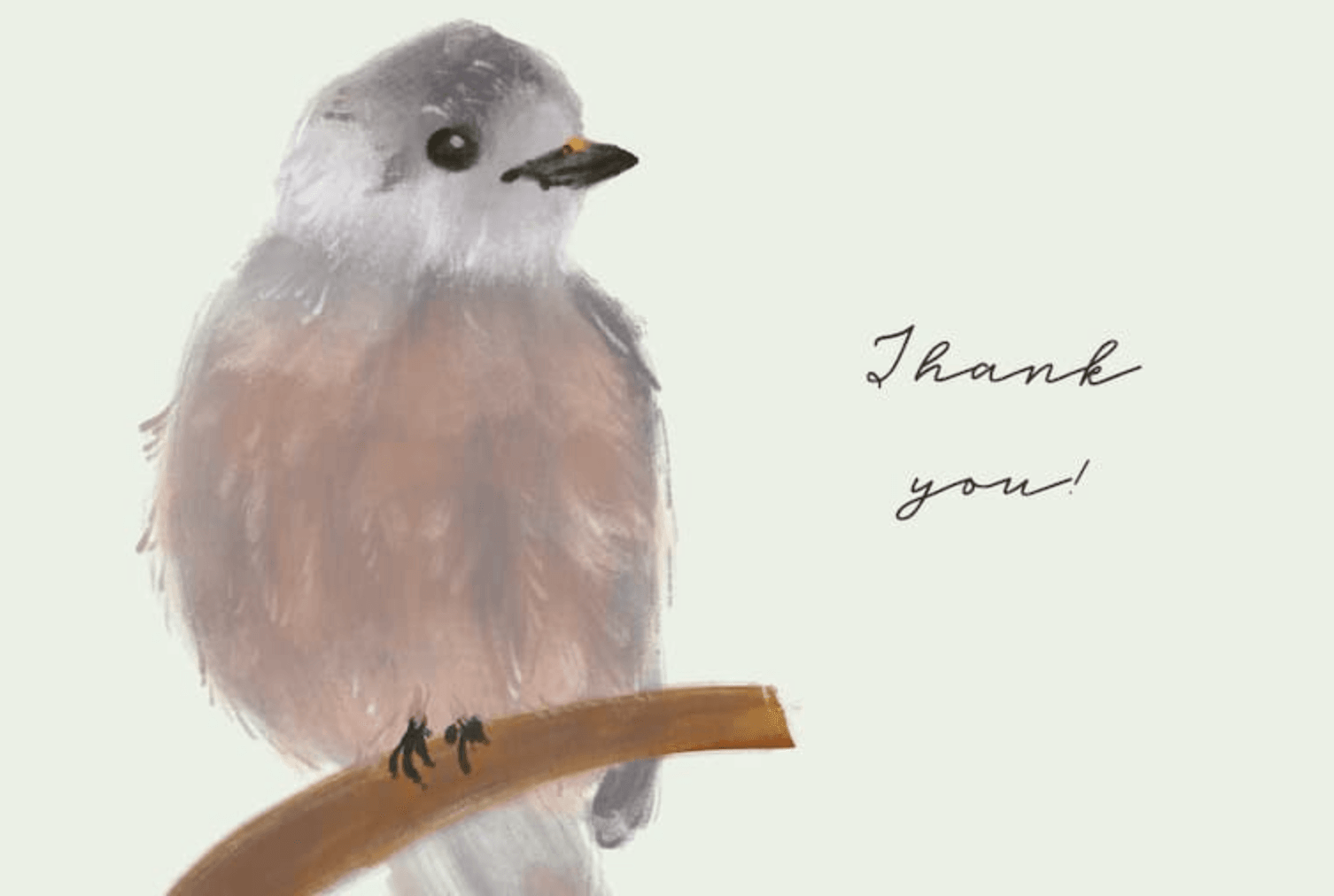 829 Drawing, Texture, and Pencil Brushes - whaledesign