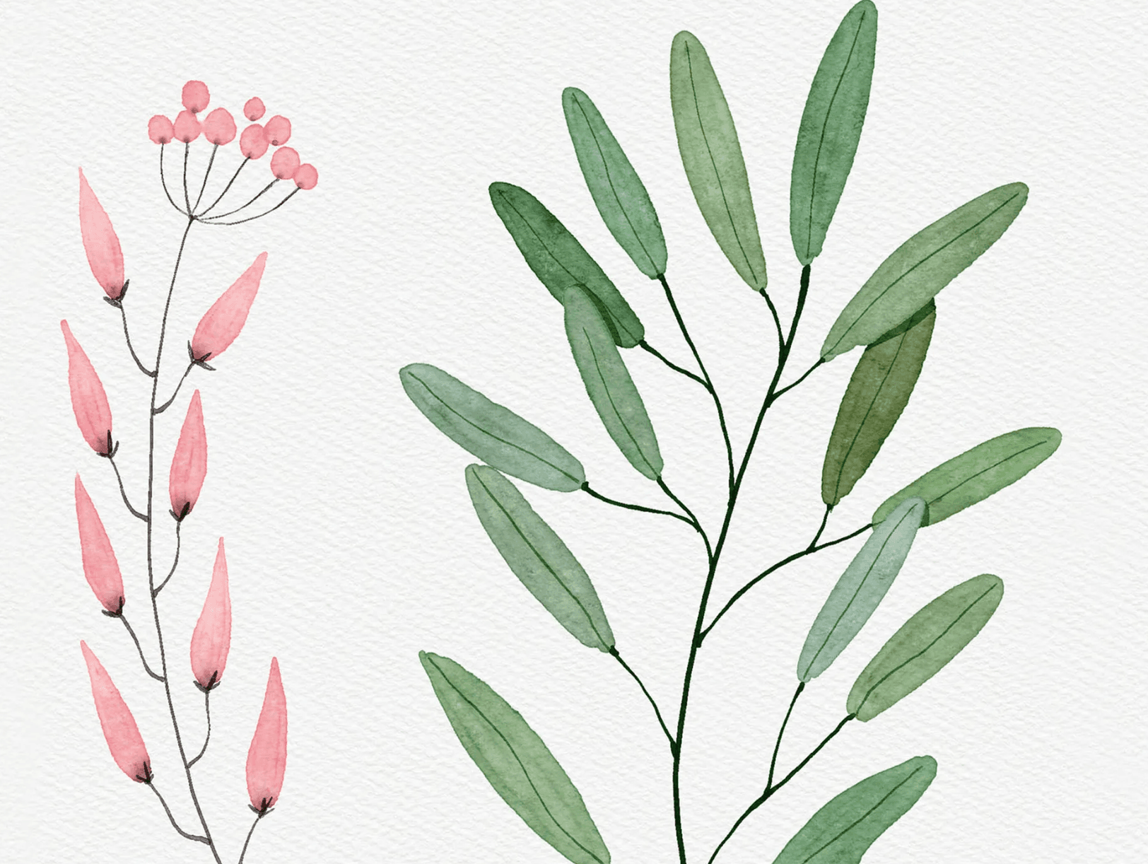 854 Procreate Watercolor Brush and Texture Paper Set - whaledesign
