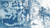 874 A Set of Ink Wash and Watercolor Brushes. - whaledesign