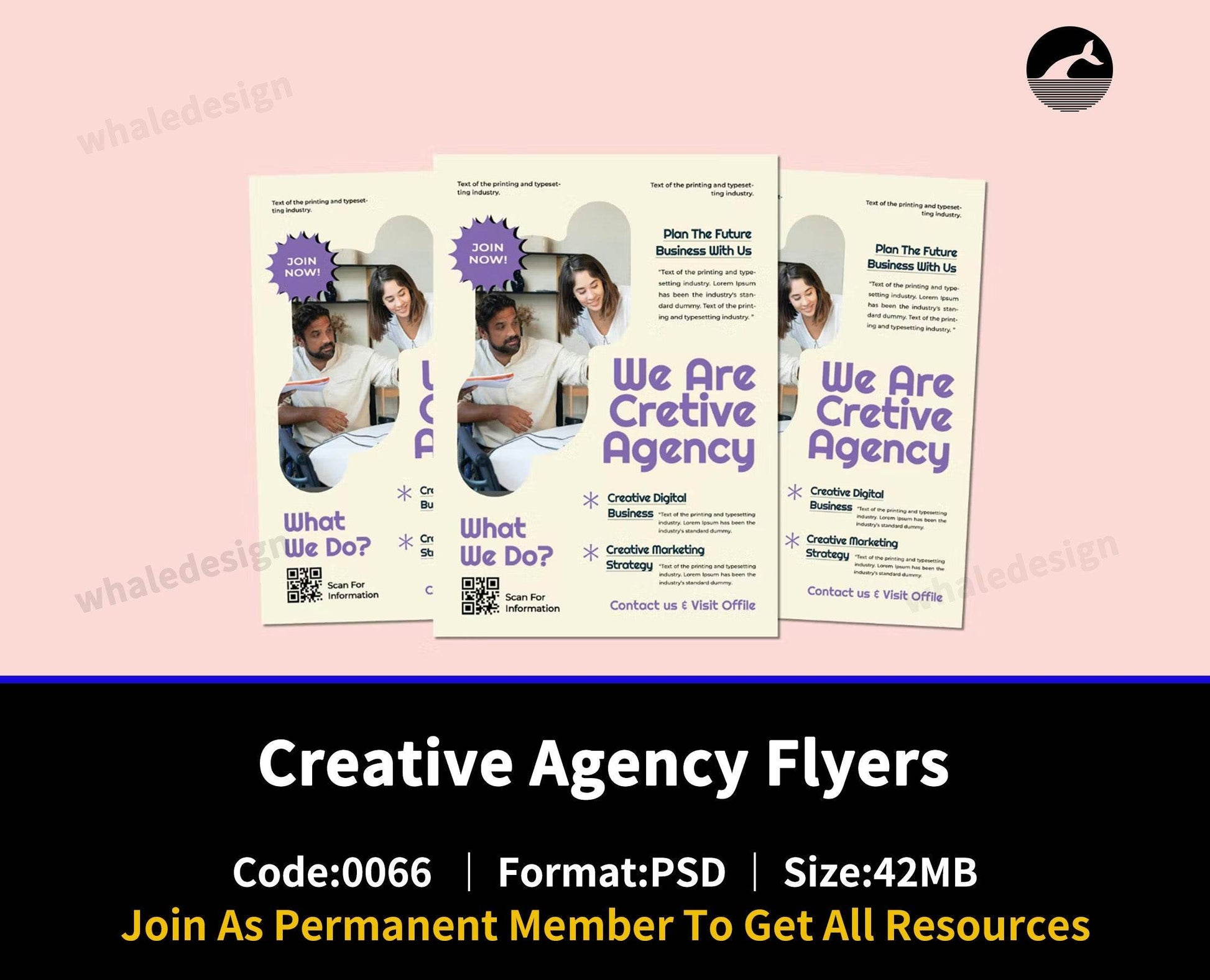 66Creative Agency Flyers - whaledesign