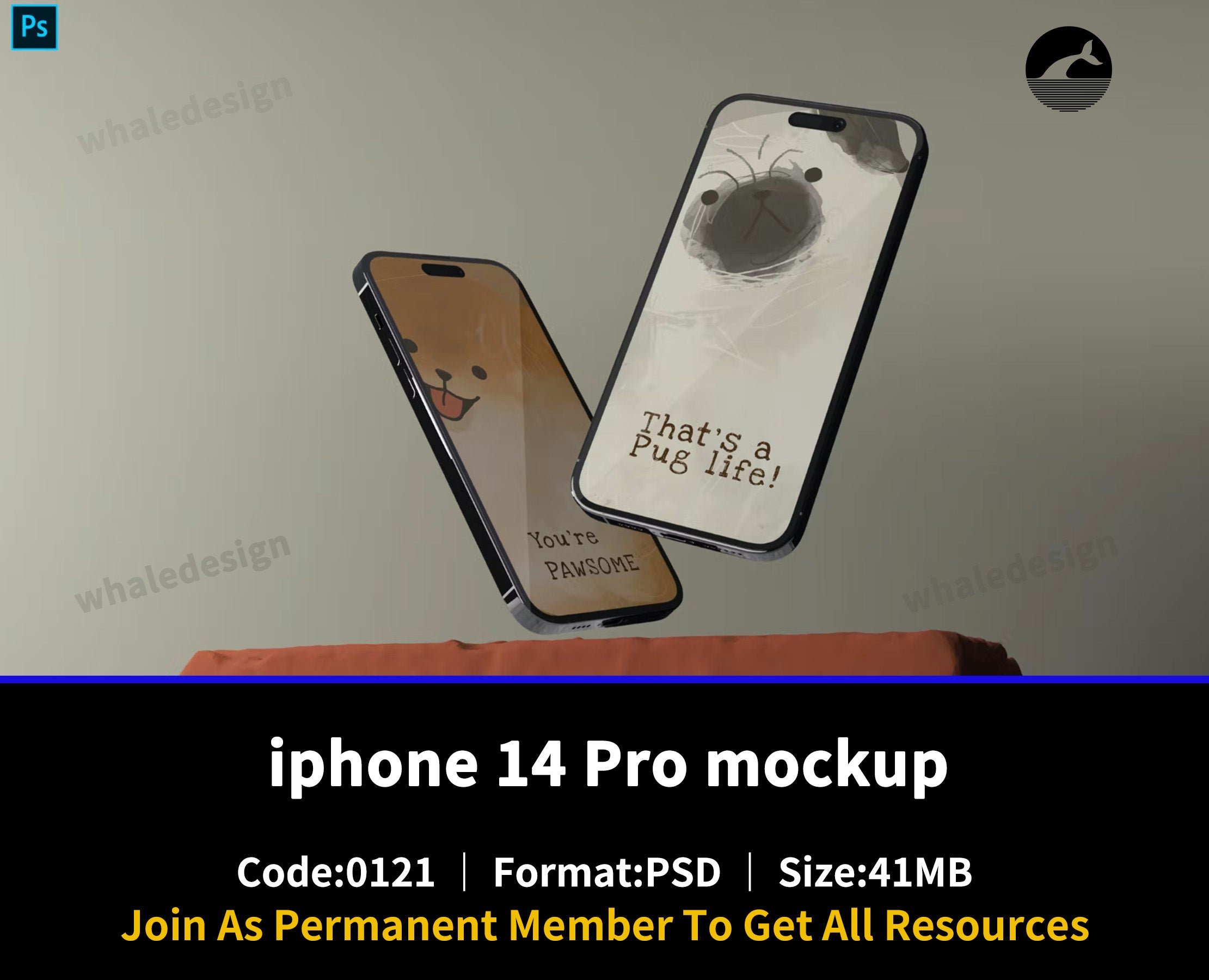 121iphone 14 Pro mockup - whaledesign