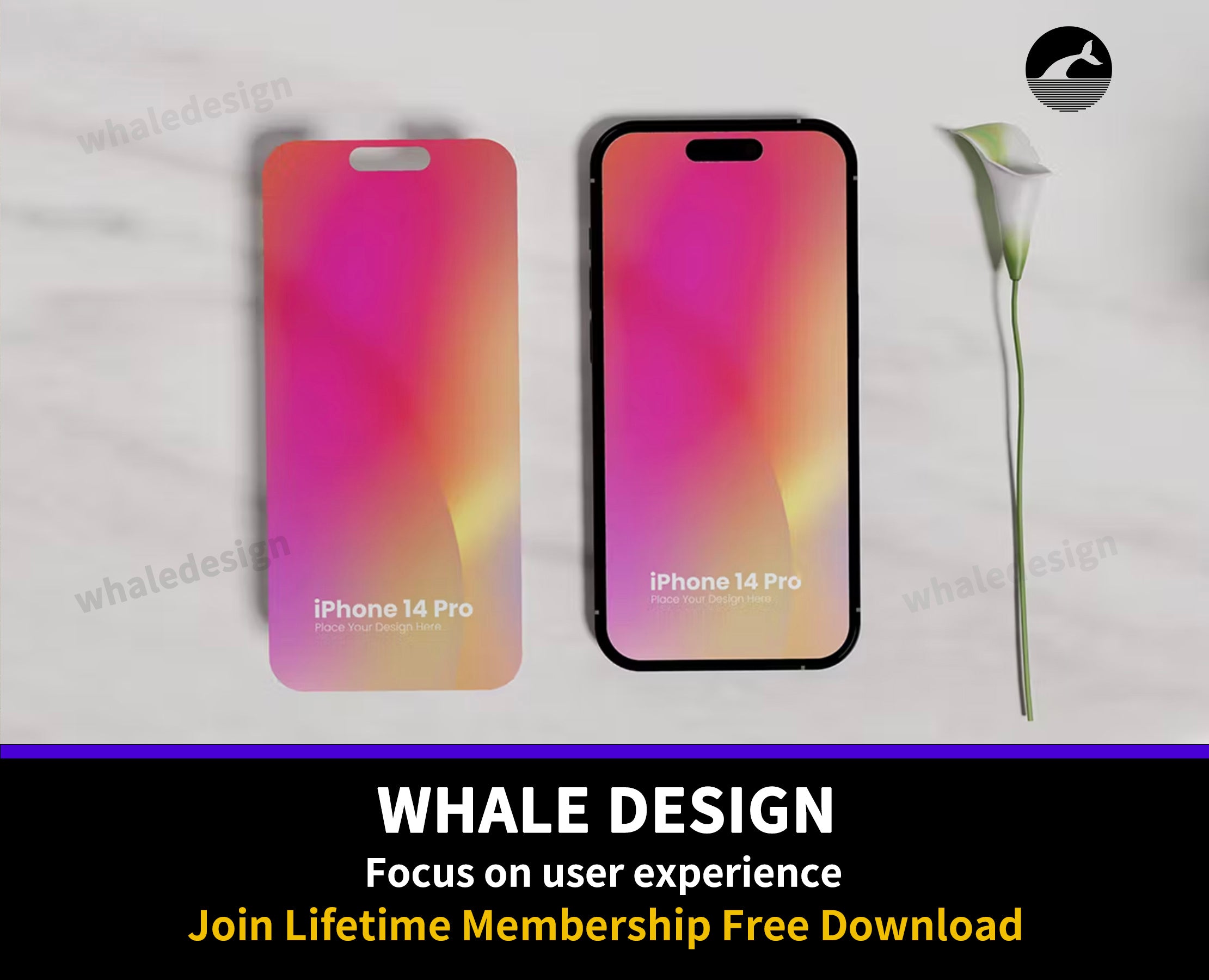 163iPhone 14 Pro Mockup - whaledesign