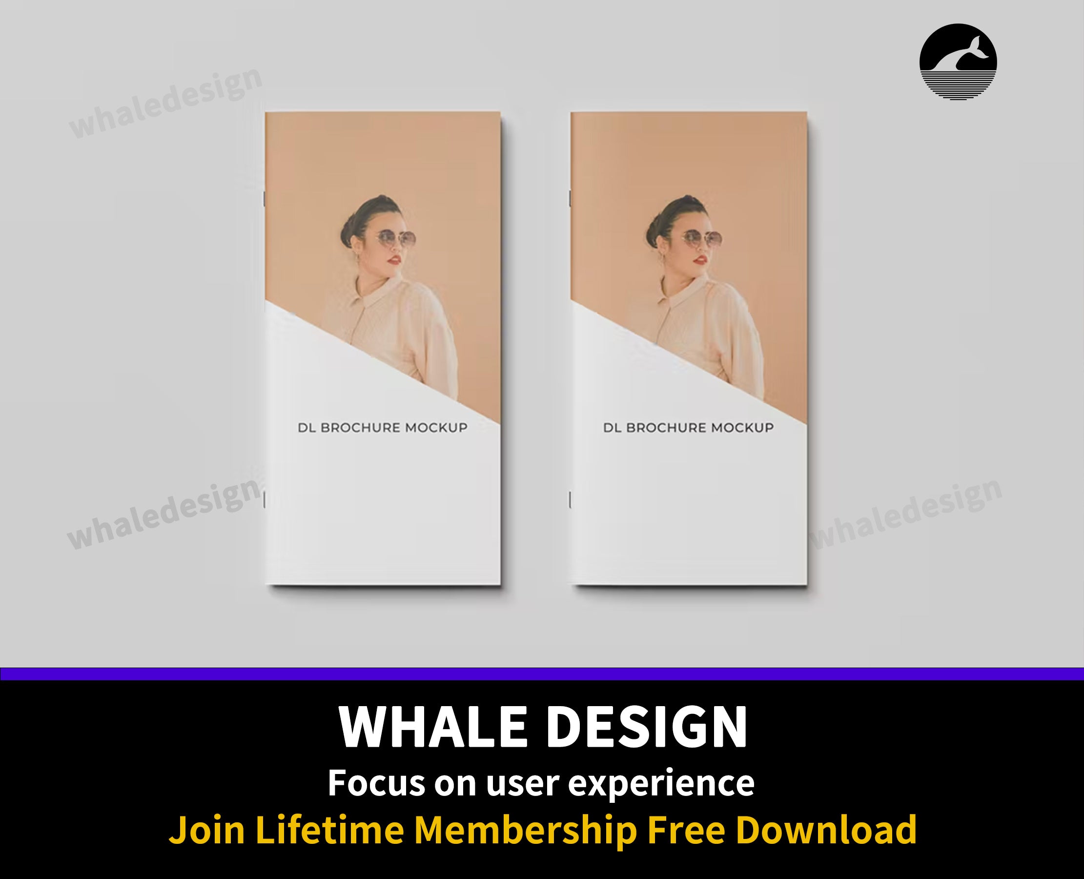 165DL Brochure / Magazine Mockup - whaledesign