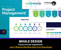 282Project Management Illustrator Infographics - whaledesign