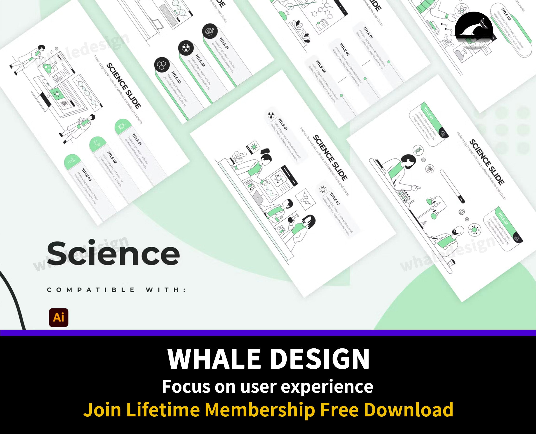 288Education Science Illustrator Infographics - whaledesign