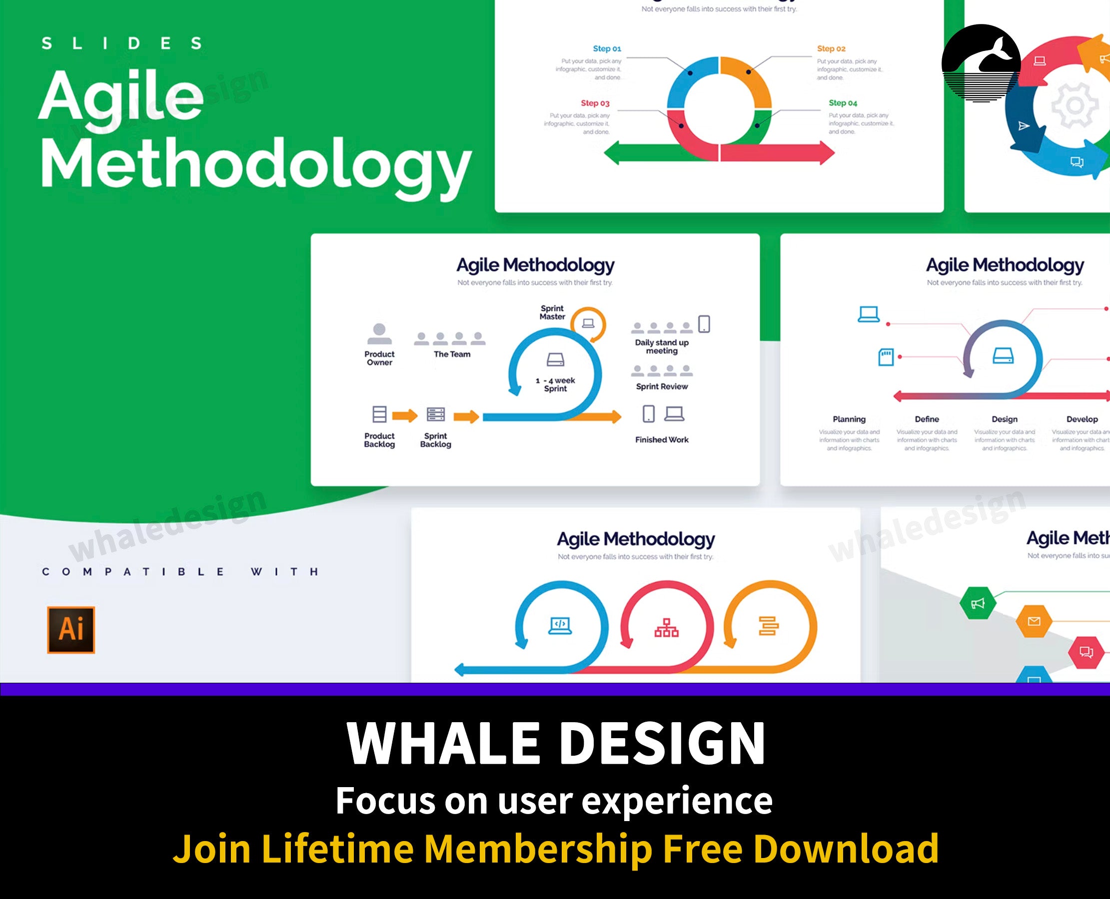 291Business Agile Diagrams Illustrator Infographics - whaledesign