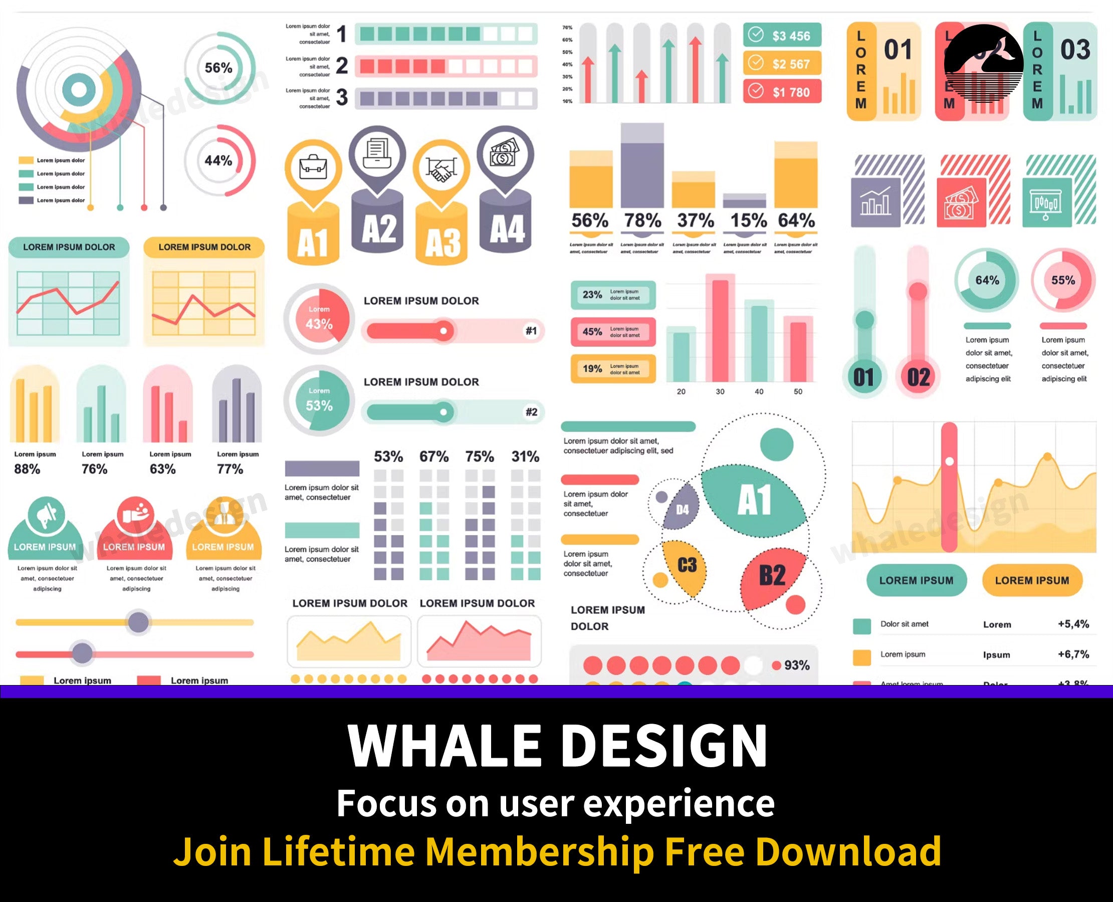 295Marketing Infographics - whaledesign