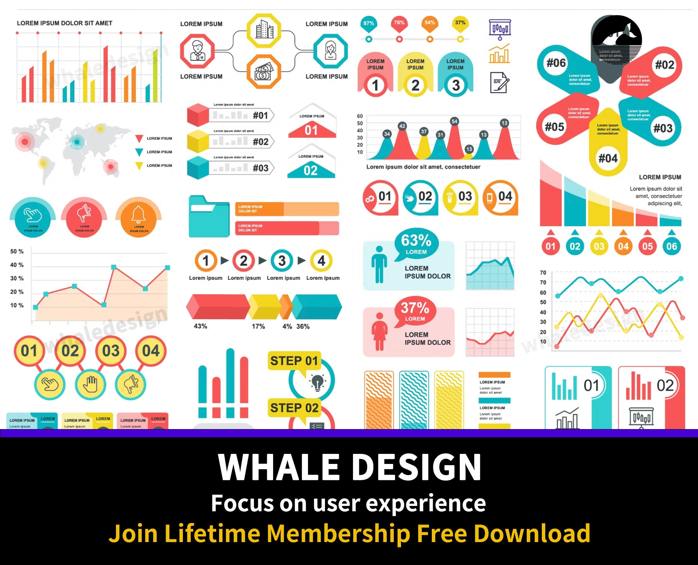 297Collection Business Infographics - whaledesign