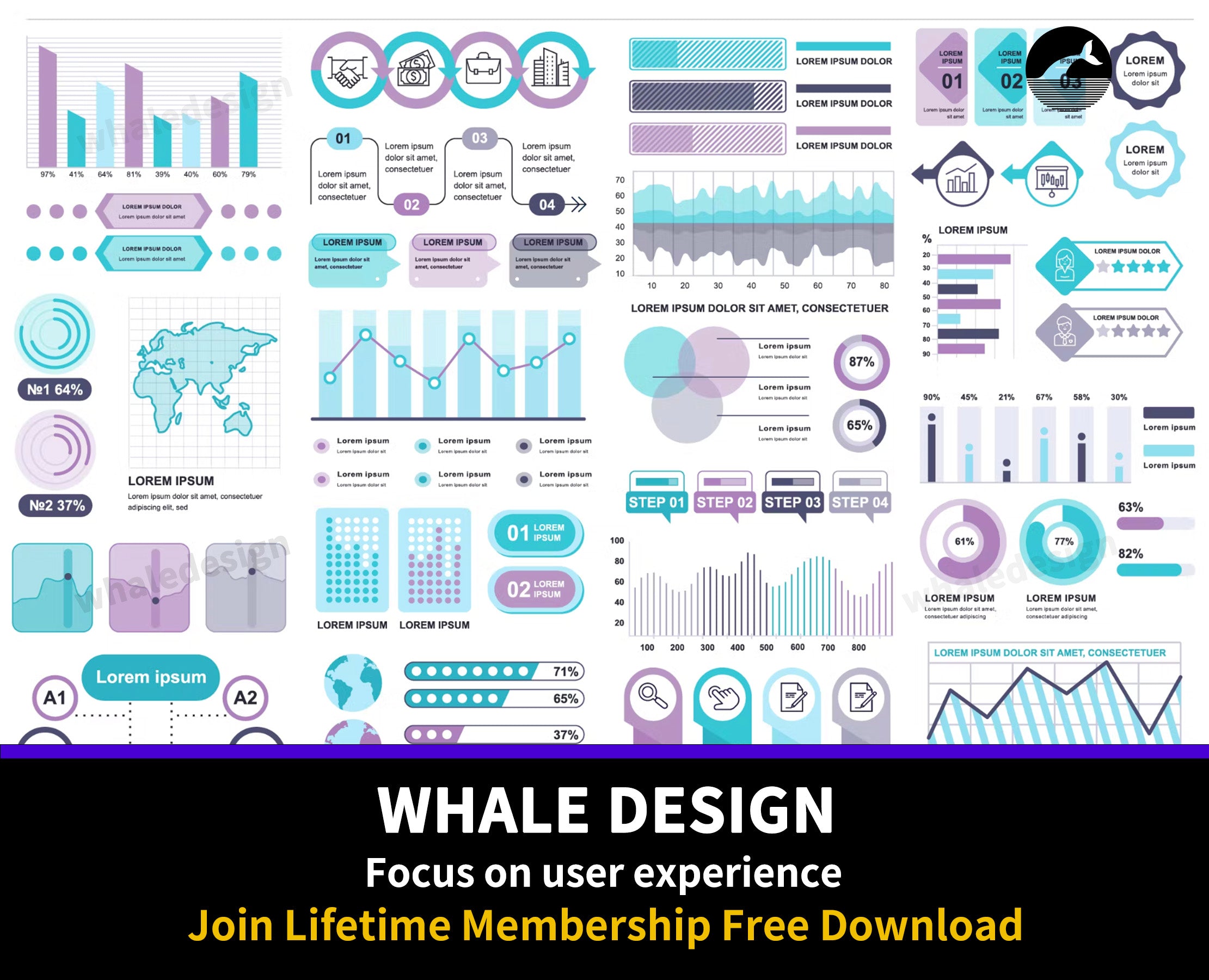 298Infographics Data Visualization - whaledesign