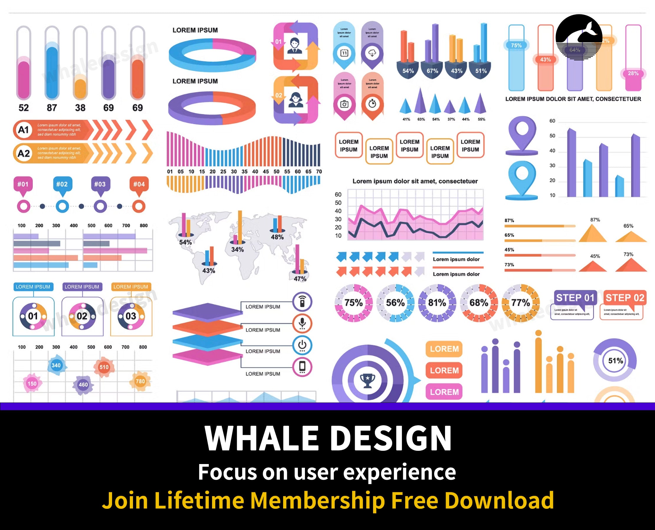 299Infographic Elements - whaledesign