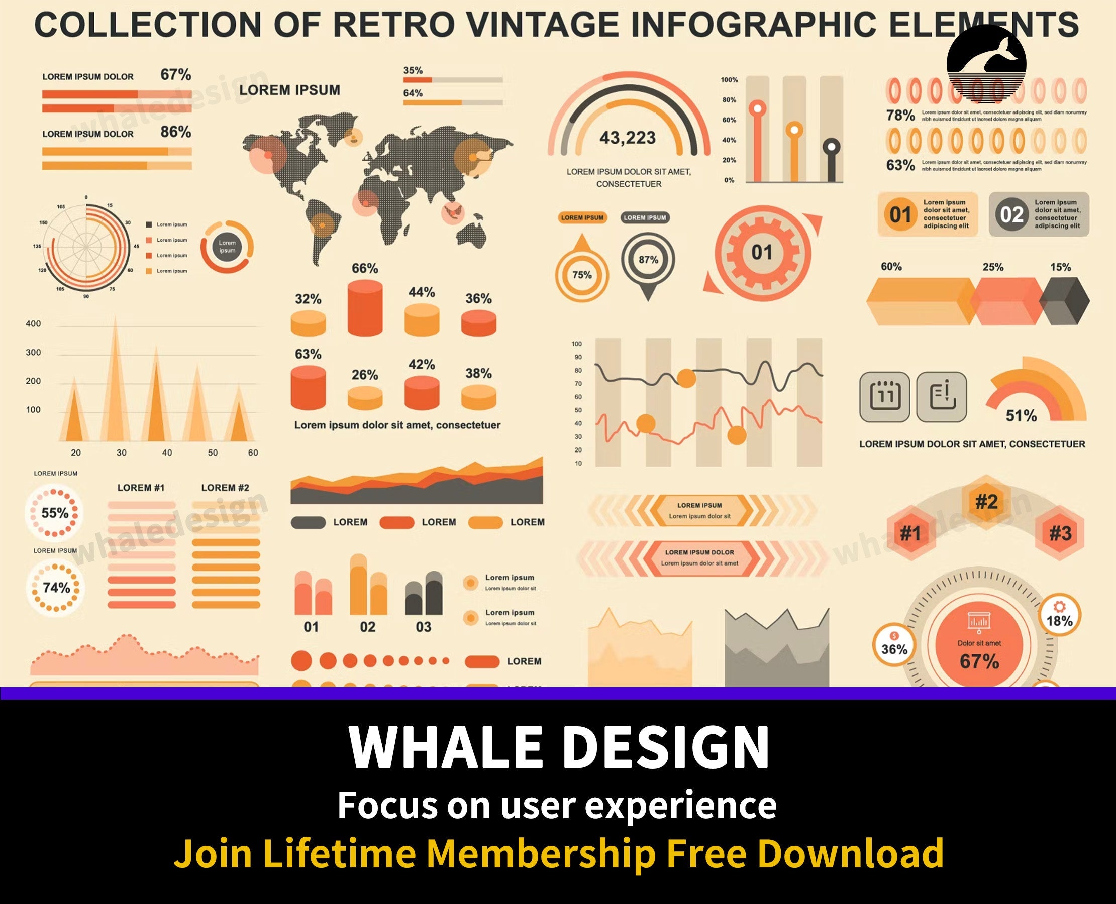 300Vintage Infographics - whaledesign