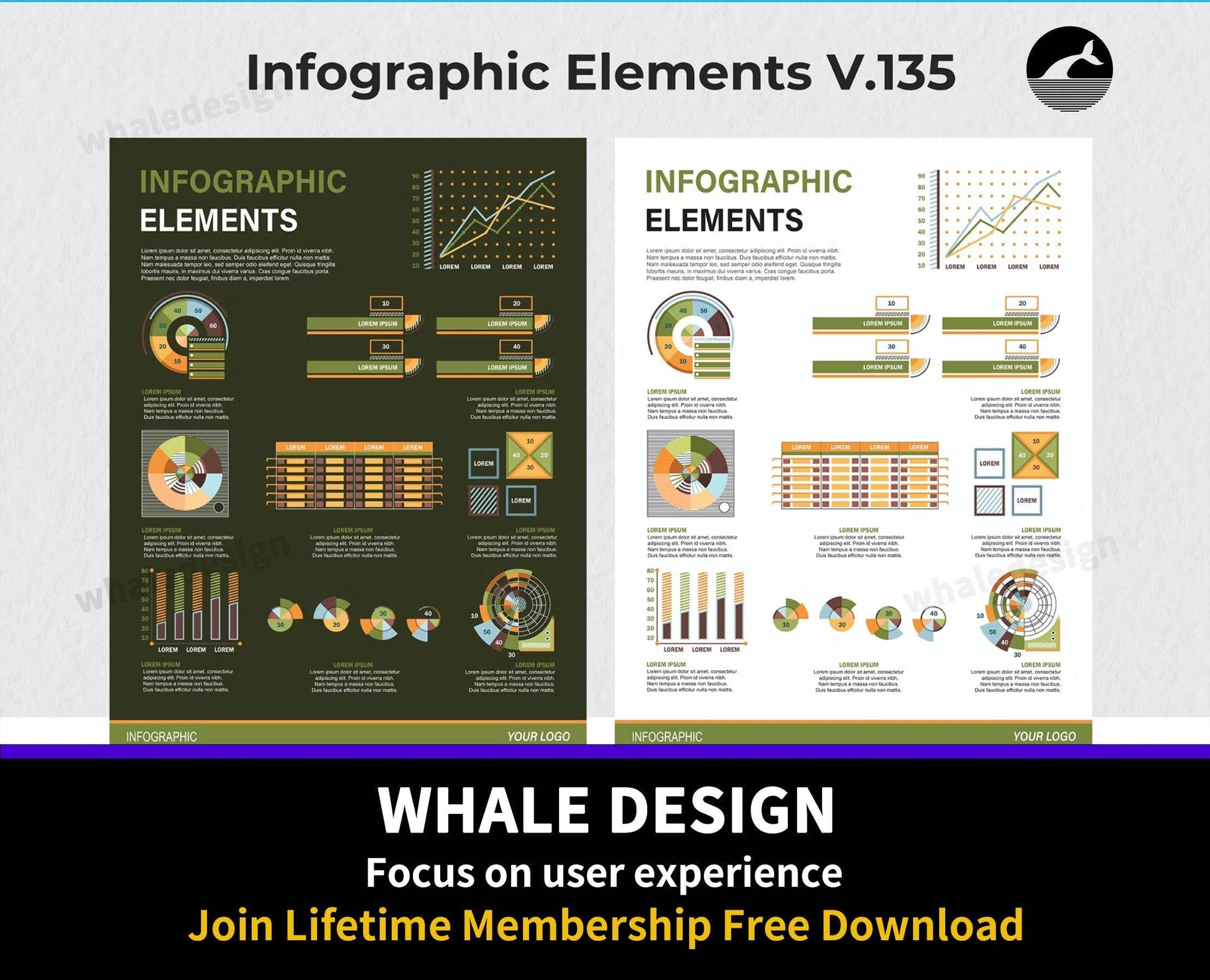 305Infographic Elements Ver. 135 - whaledesign