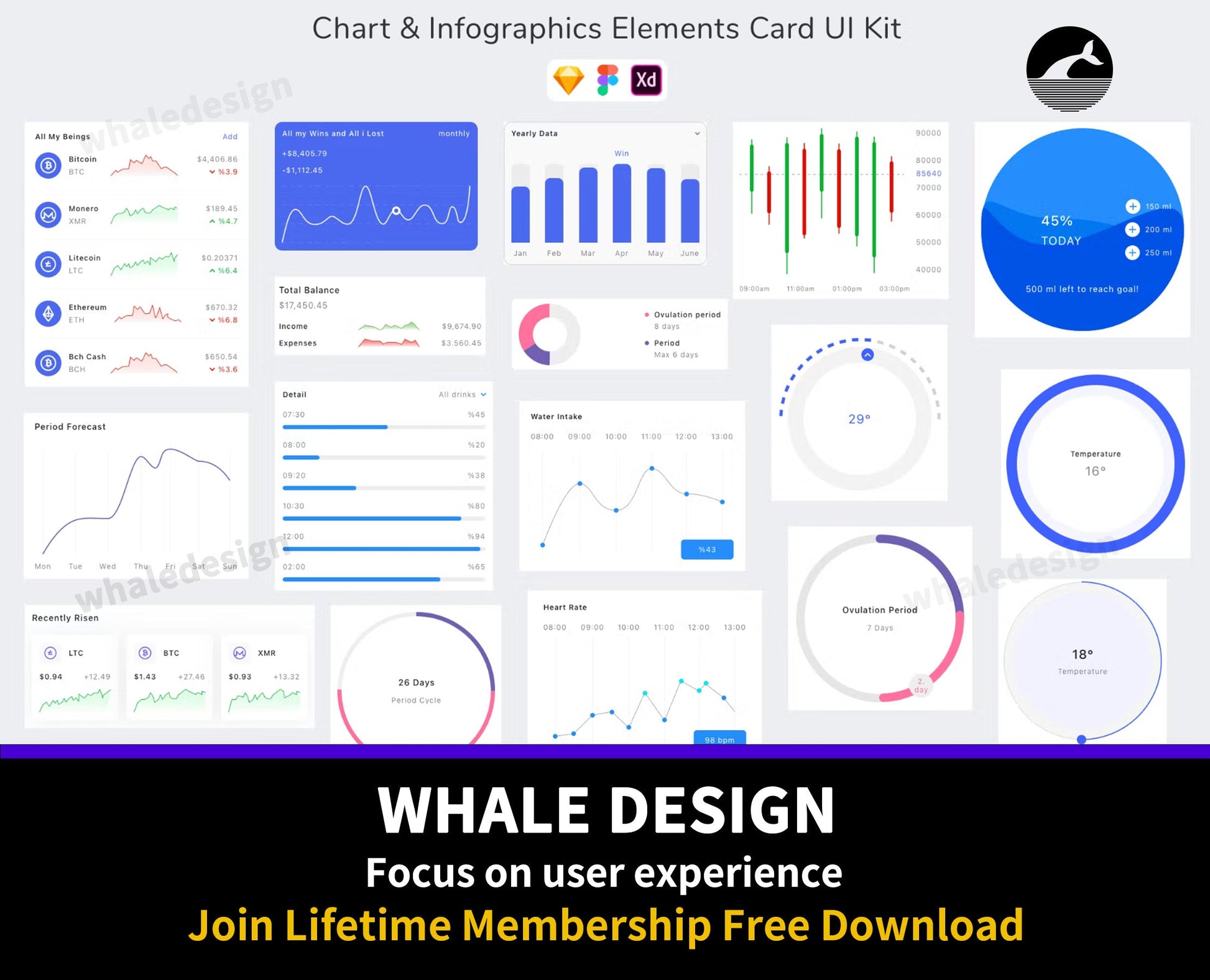 311Chart & Infographics Elements Card UI Kit - whaledesign