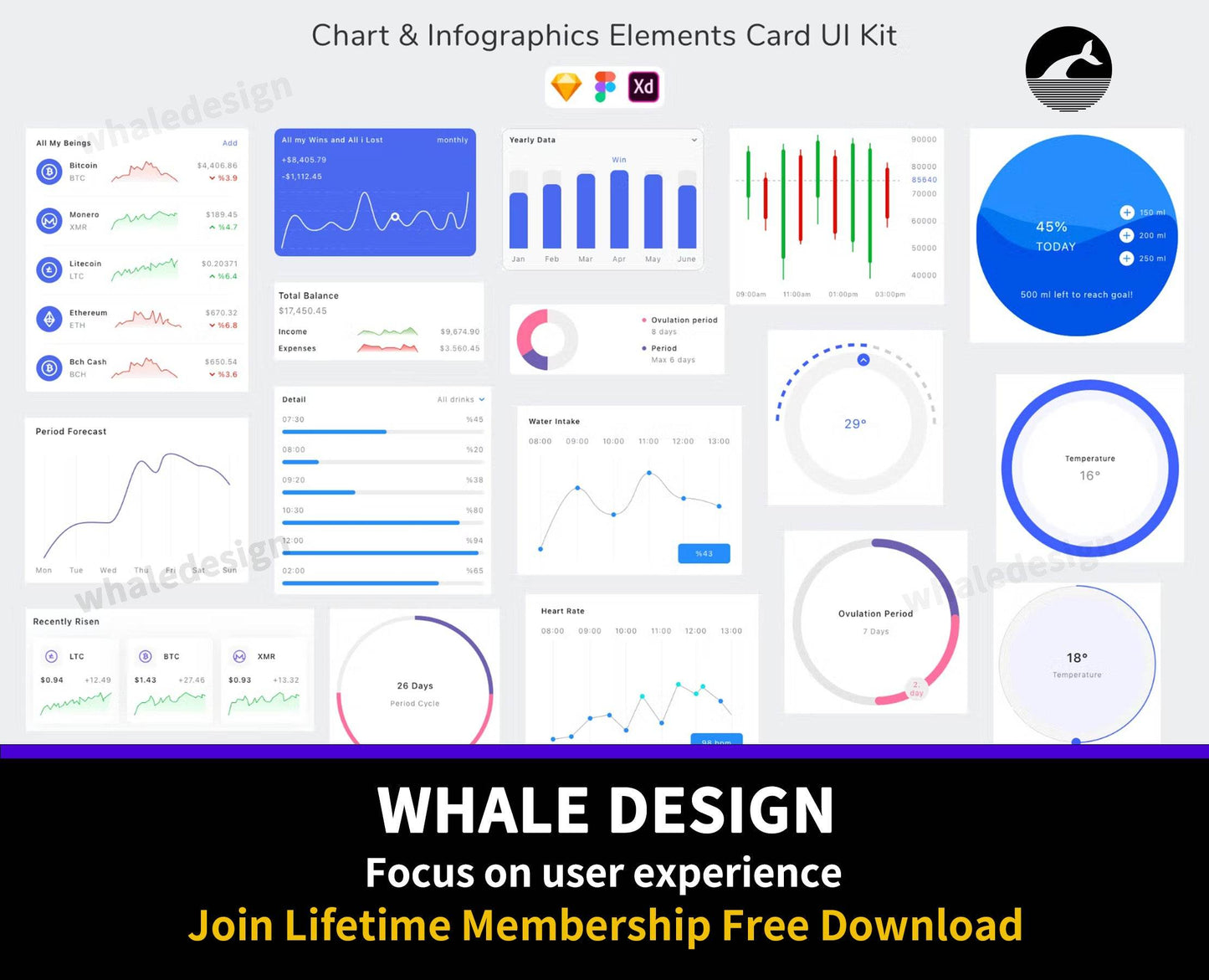 312Chart & Infographics Elements Card UI Kit - whaledesign