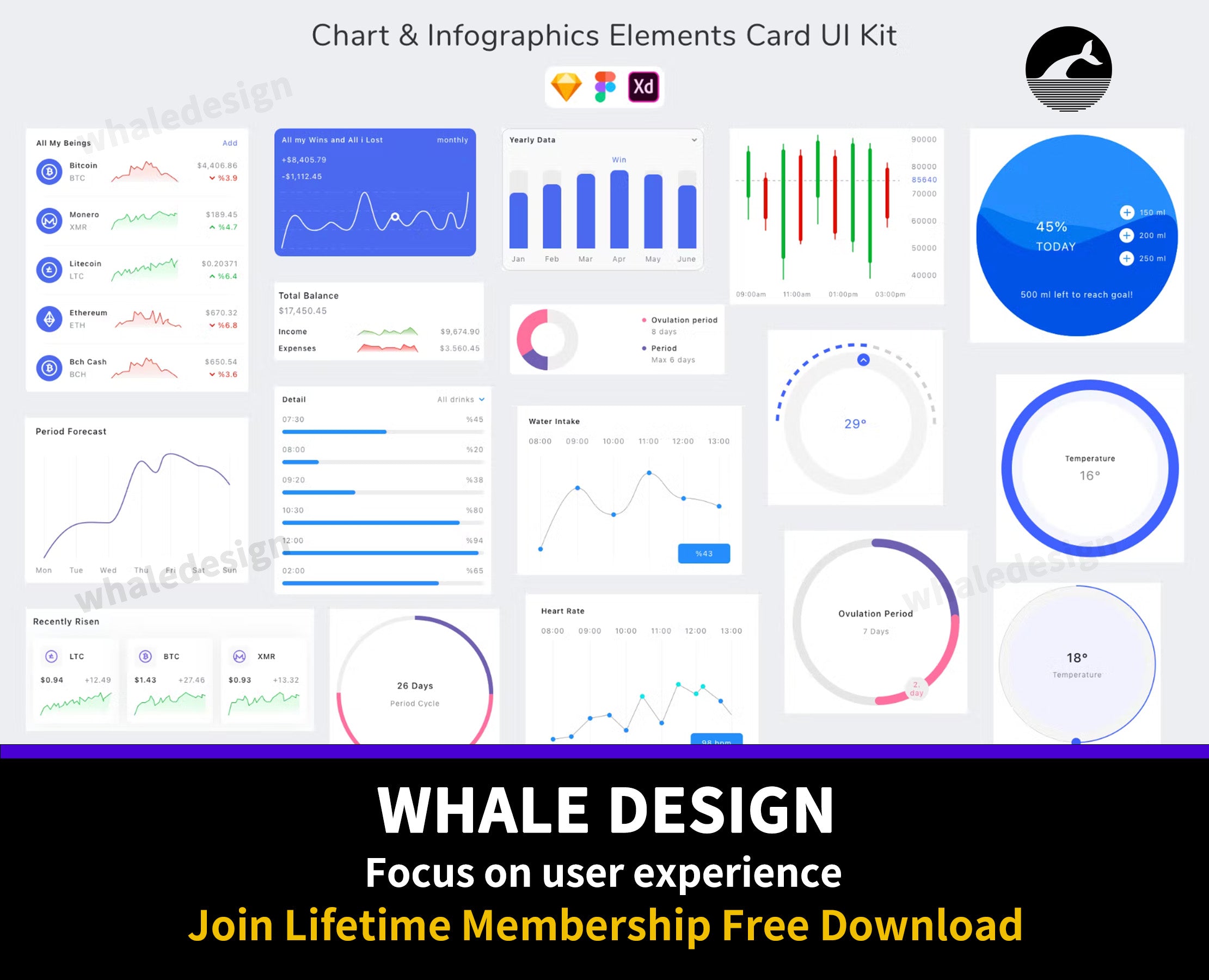 312Chart & Infographics Elements Card UI Kit - whaledesign