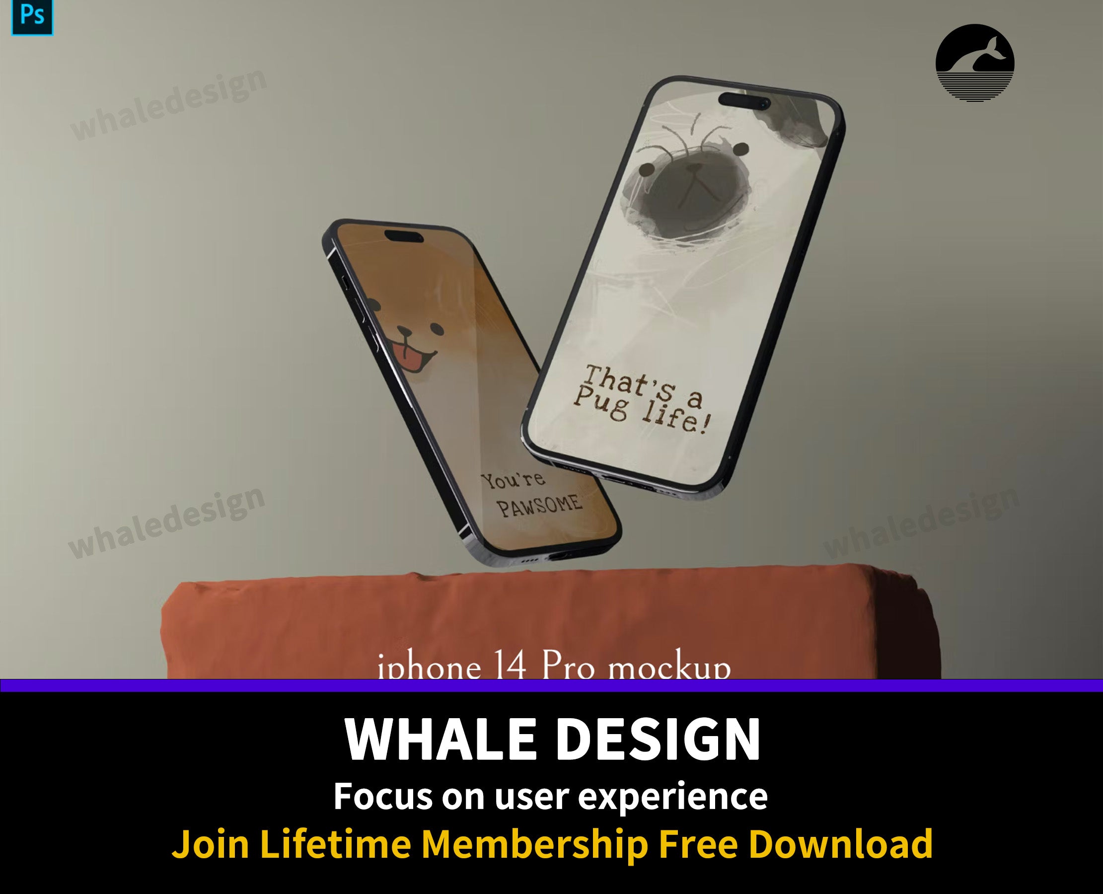 331iphone 14 Pro mockup - whaledesign