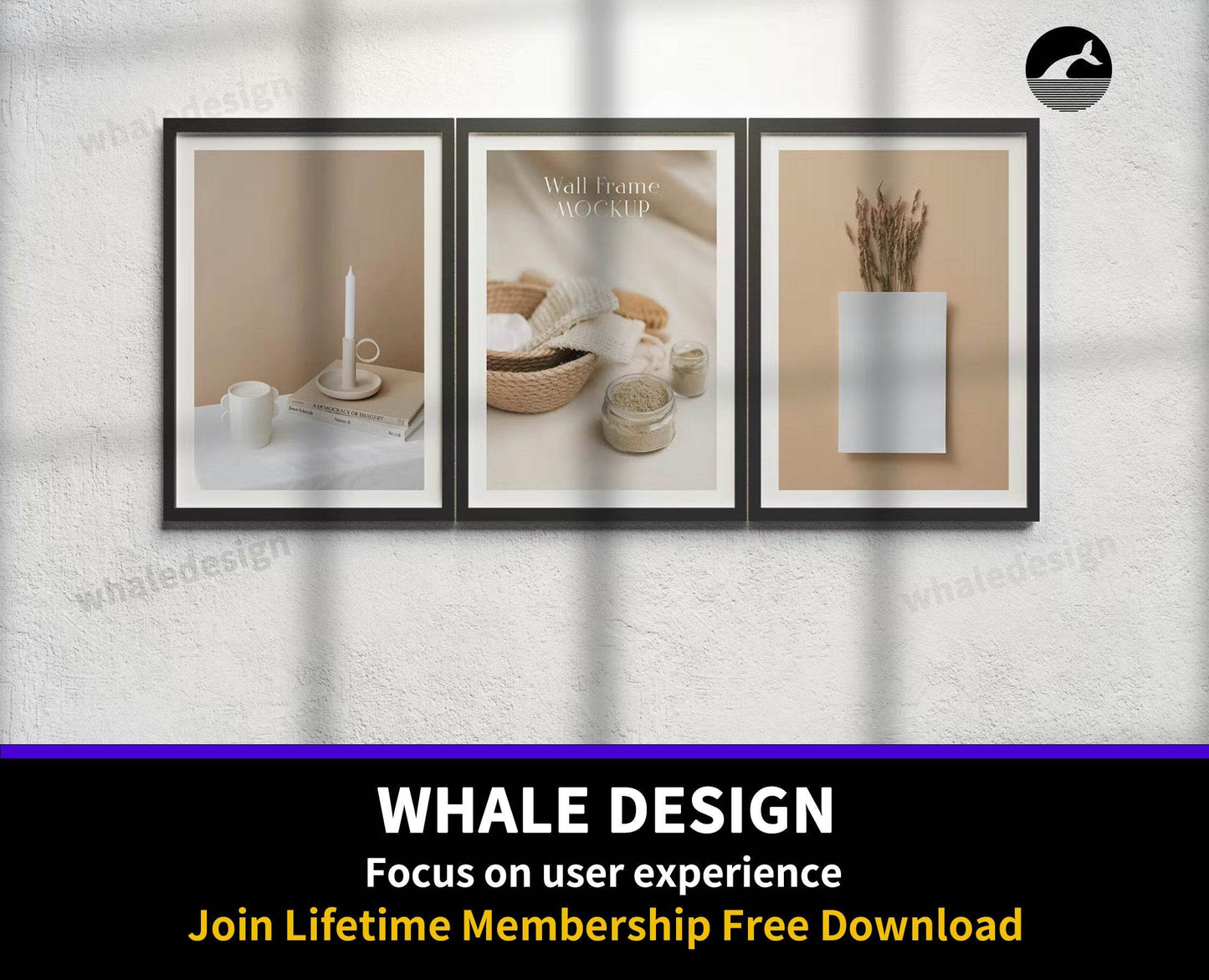 355Frame Mockup - whaledesign