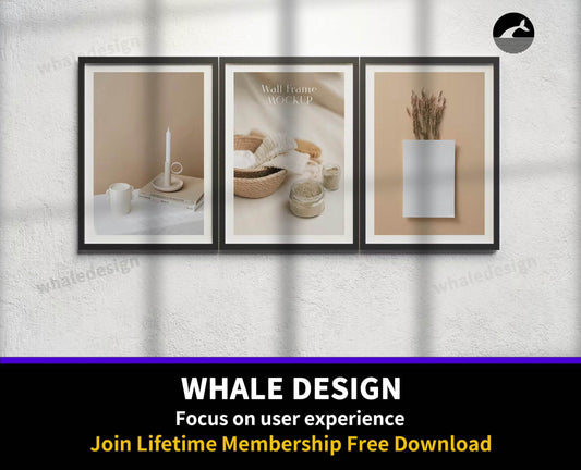 355Frame Mockup - whaledesign