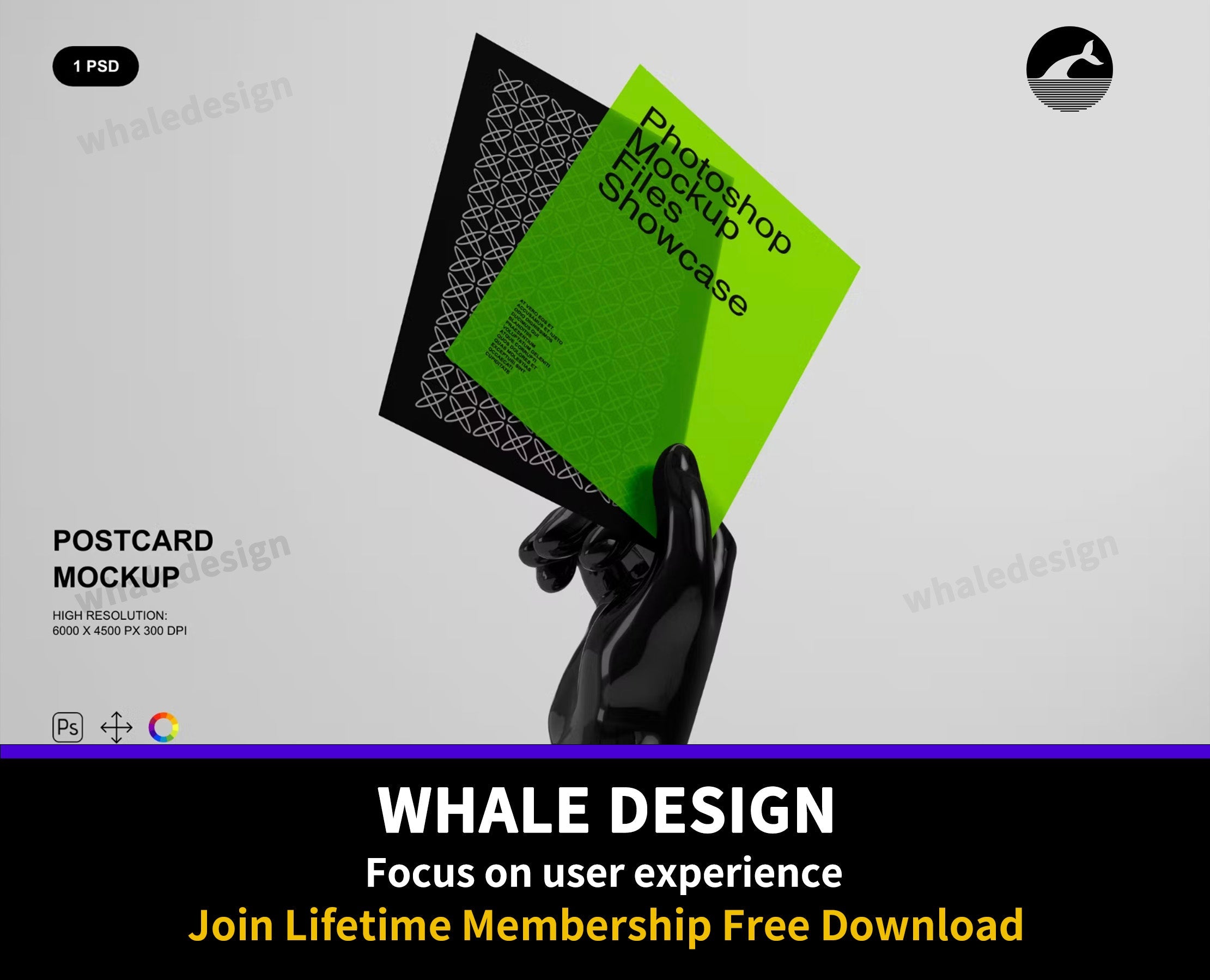 387Postcard Mockup - whaledesign