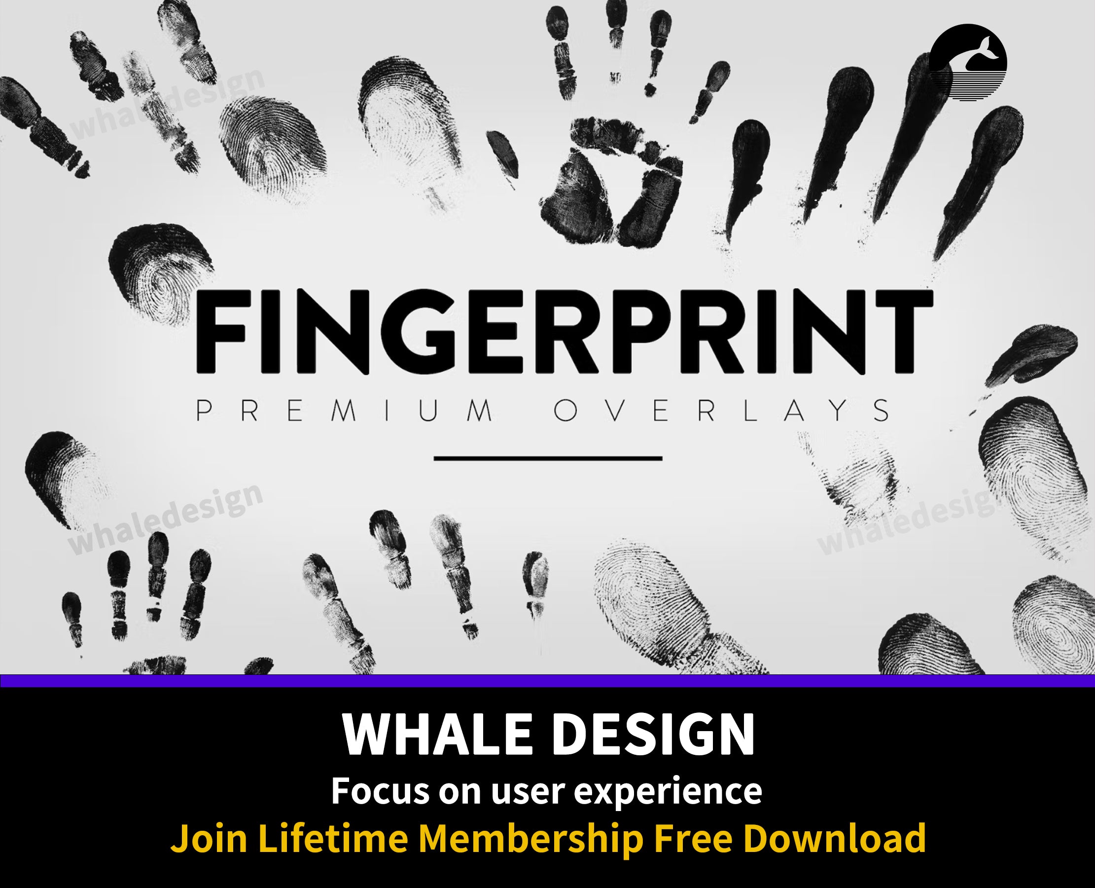 42430 Fingerprint Overlay - whaledesign