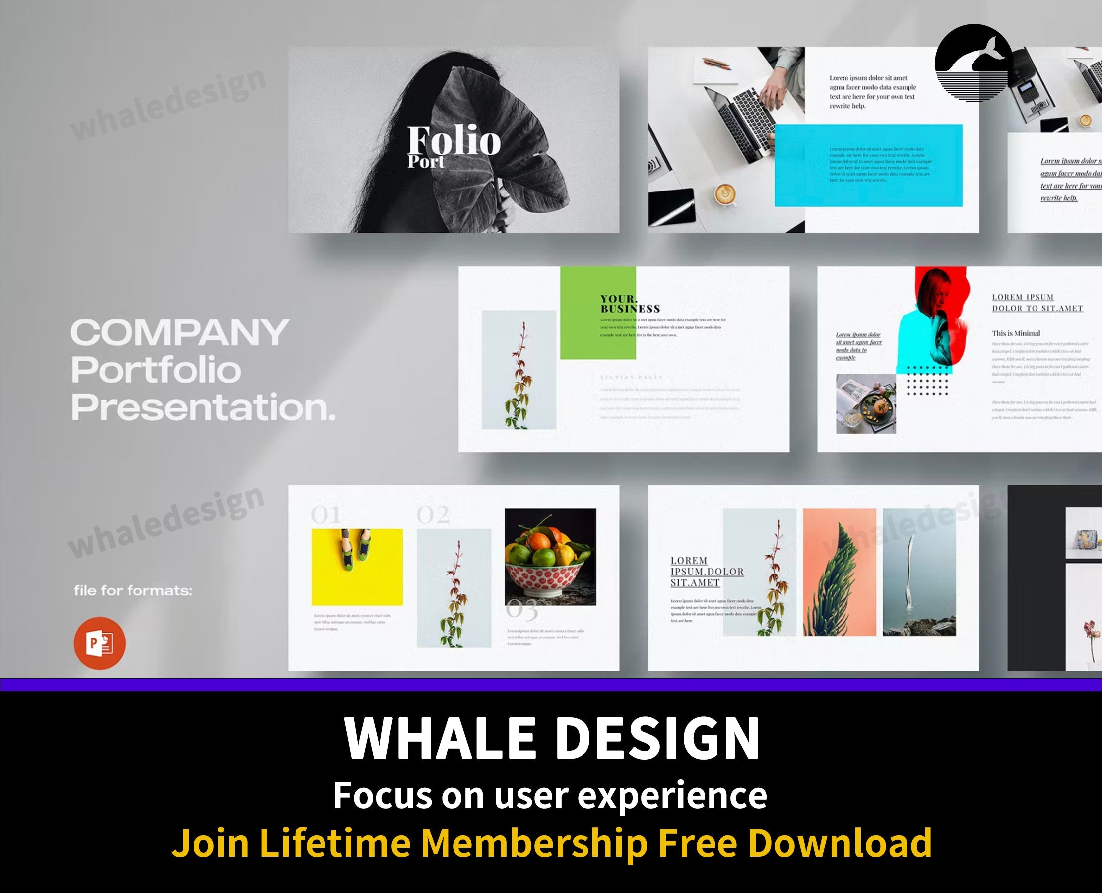 460Minimal Portfolio Template - whaledesign