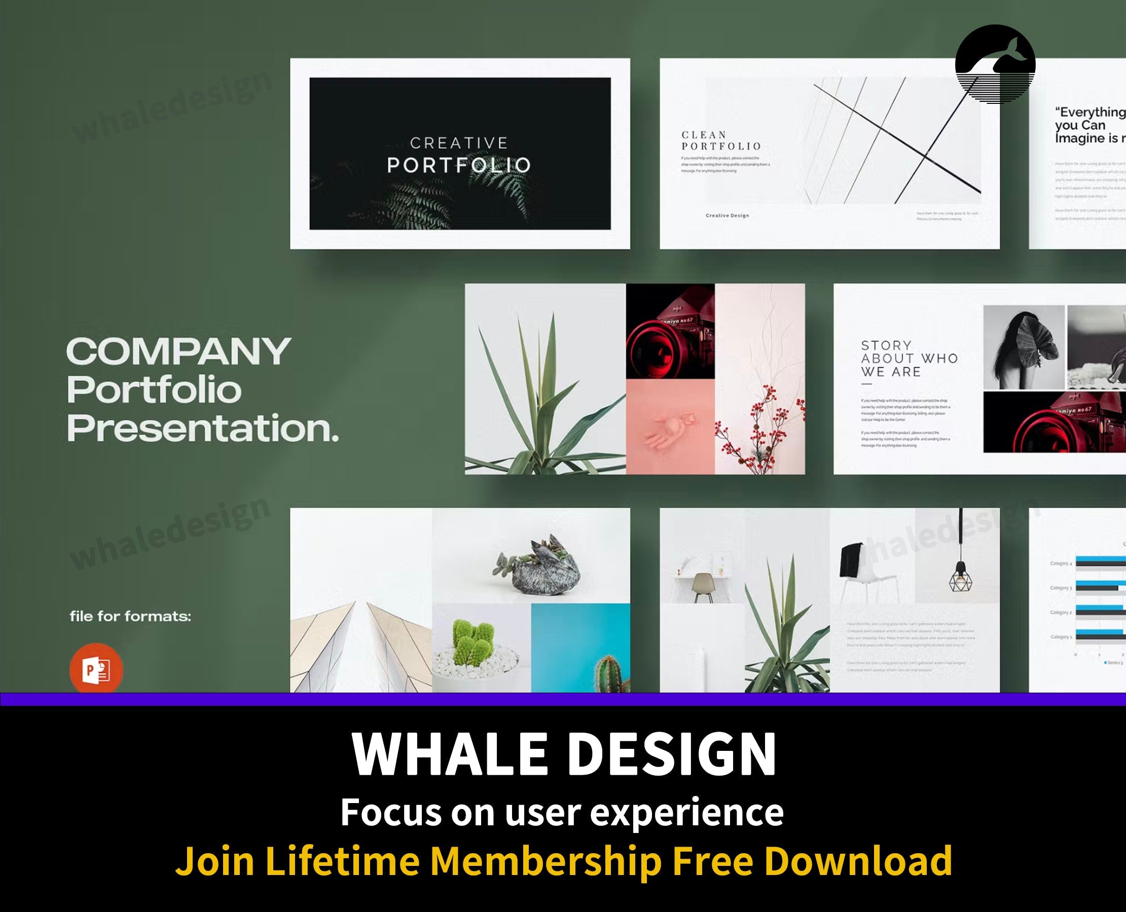 462Minimal Portfolio Presentation Template - whaledesign