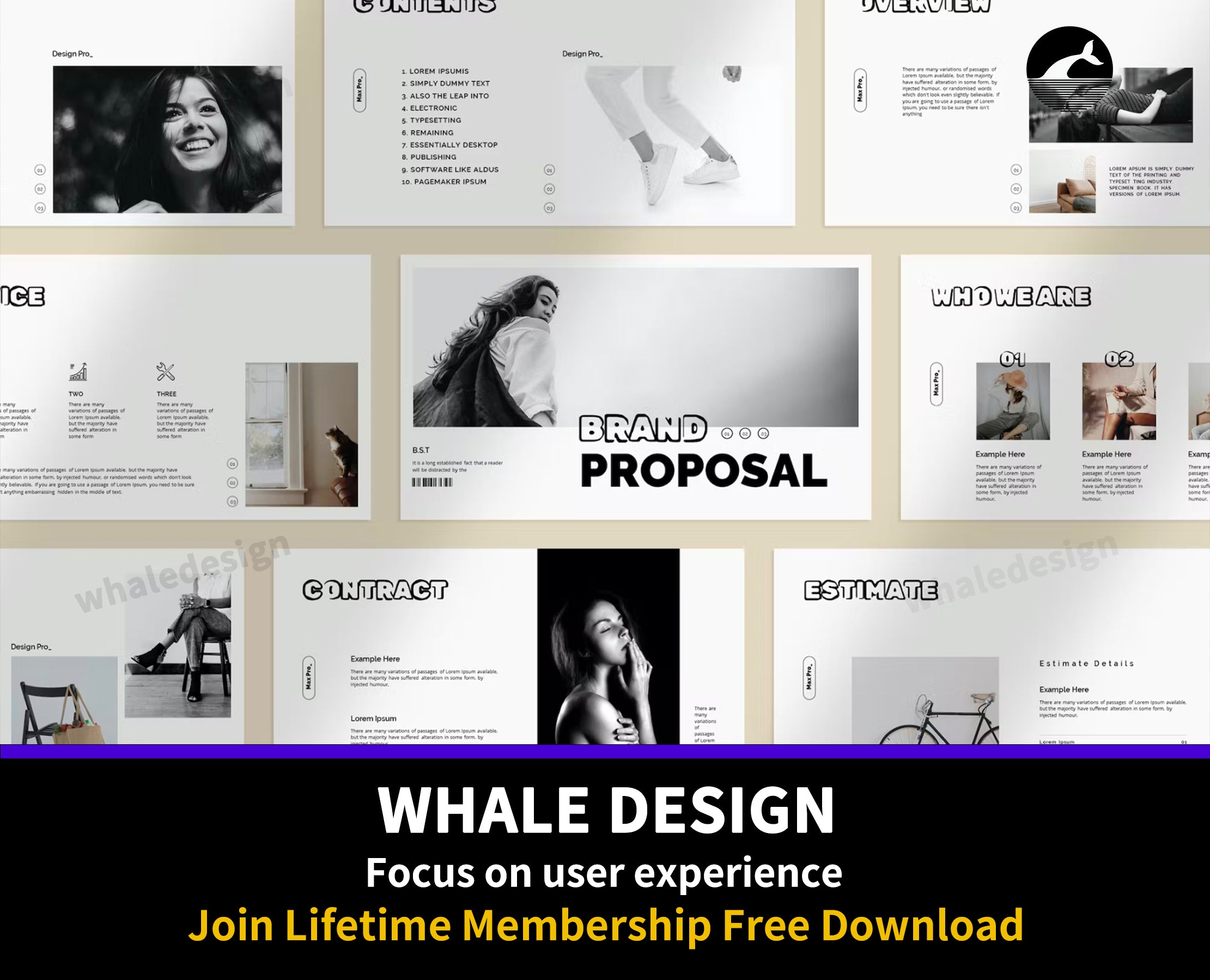 464Brand Proposal Presentation - whaledesign