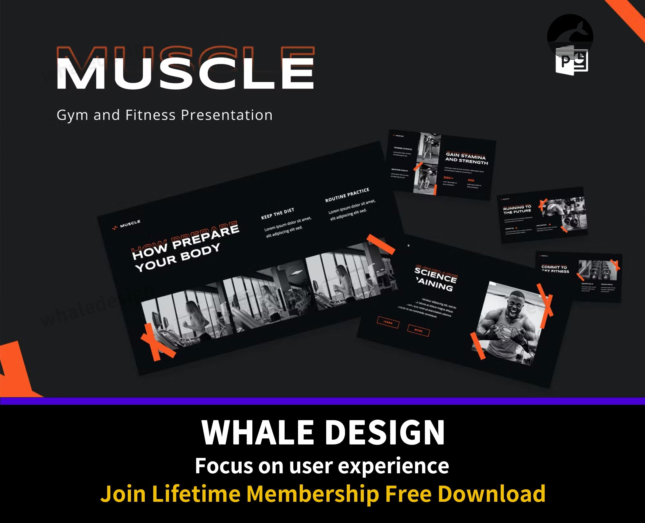 465Gym and Fitness Presentation PowerPoint - whaledesign