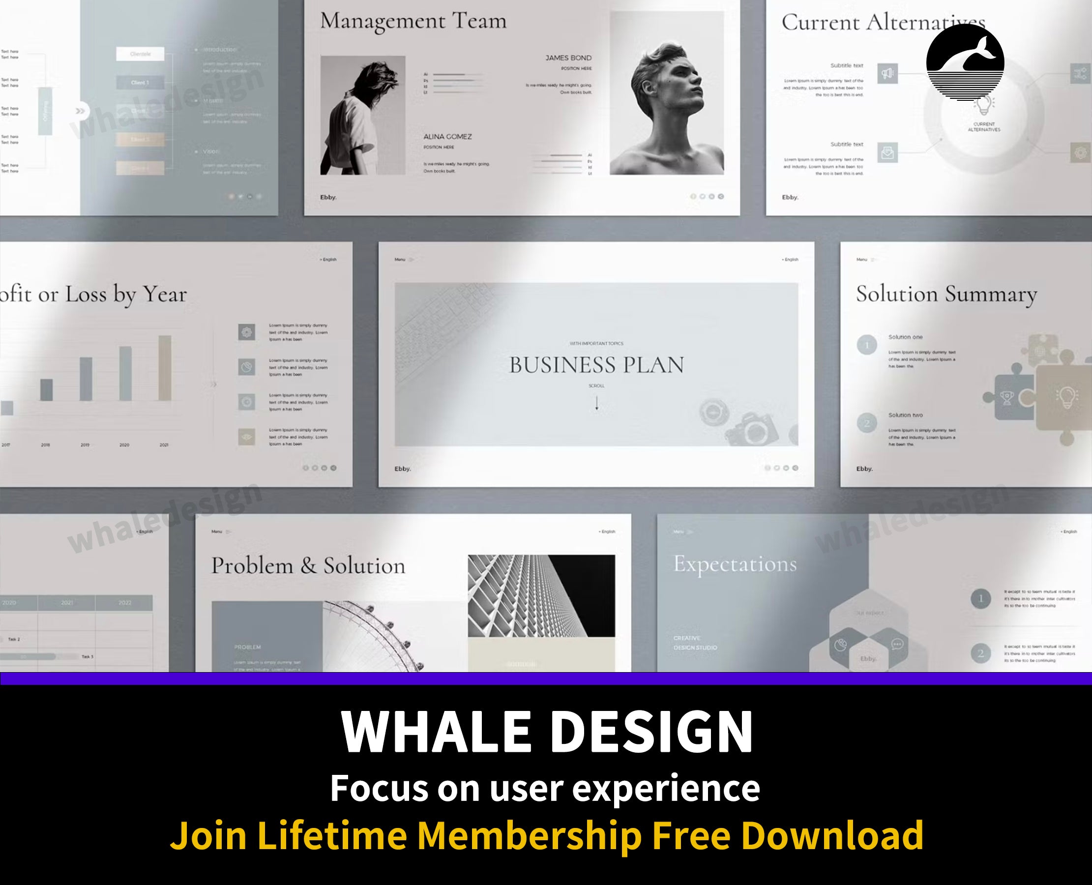 494Business Plan PowerPoint Presentation Template - whaledesign