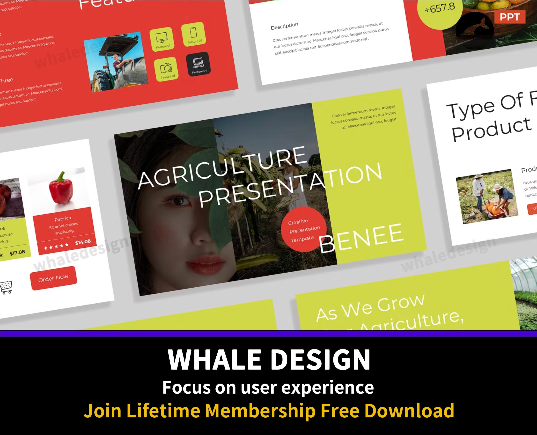 496Creative Yellow Red Agriculture Presentation - whaledesign