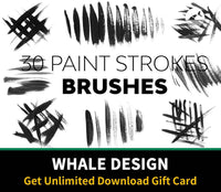 521 Paint Strokes Brushes - whaledesign