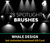 523 Spotlight Brushes - whaledesign
