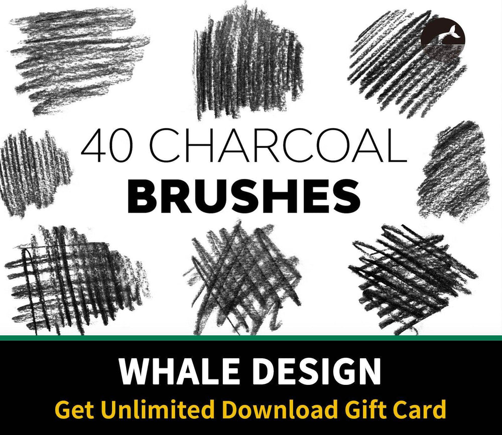 532 Charcoal Brushes - whaledesign