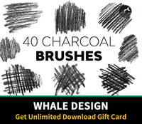 532 Charcoal Brushes - whaledesign