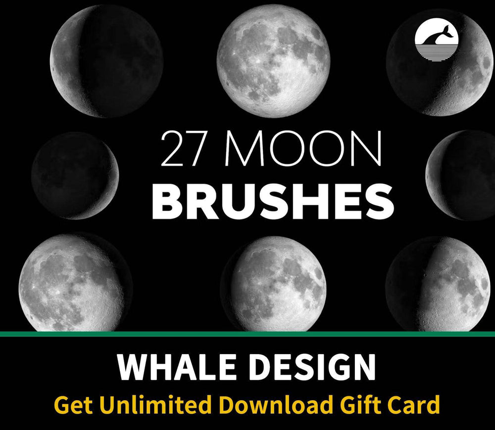 547 Moon Brushes - whaledesign