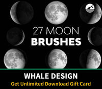 547 Moon Brushes - whaledesign
