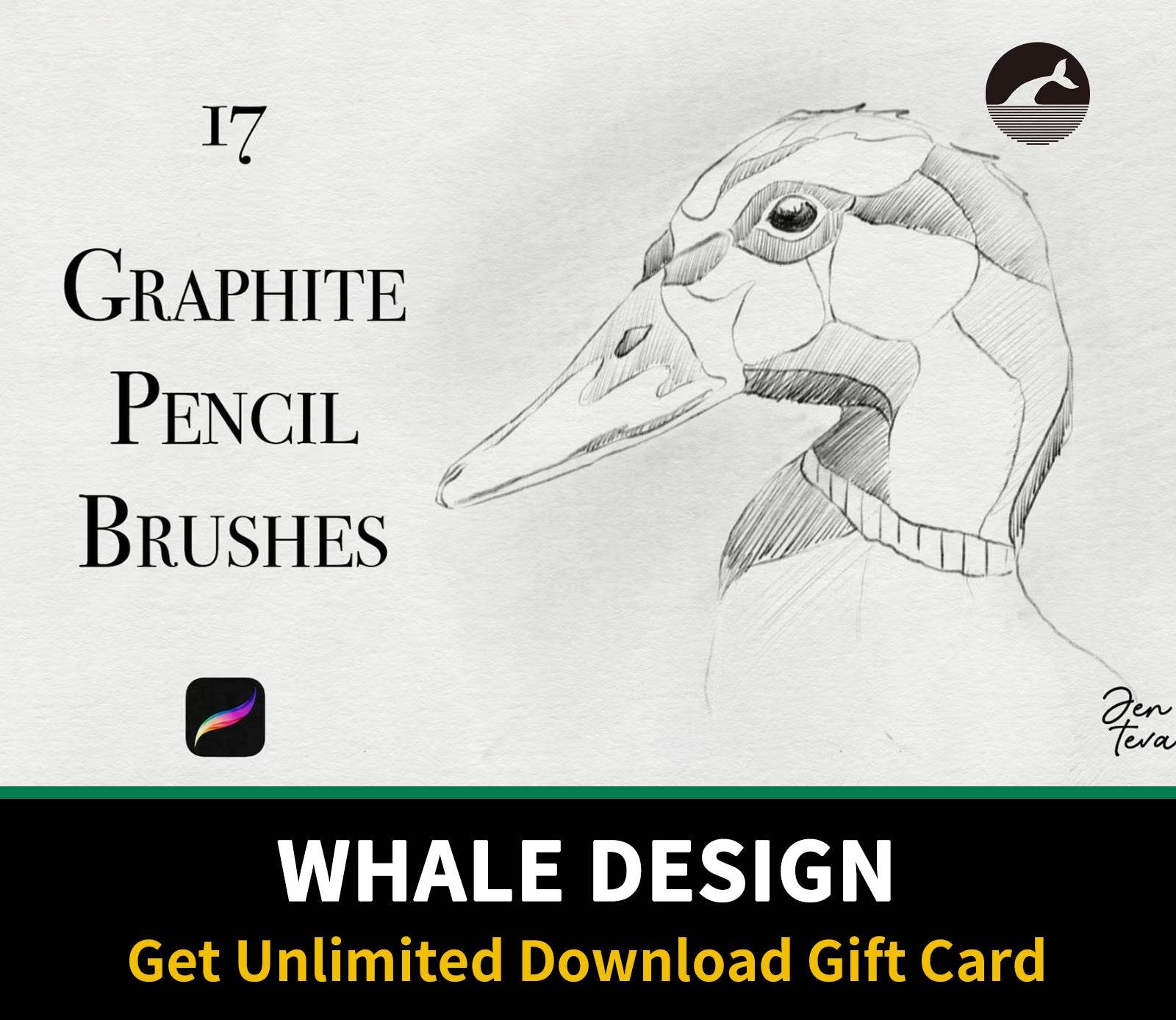 589 Graphite Pencils for Procreate - whaledesign