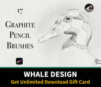 589 Graphite Pencils for Procreate - whaledesign