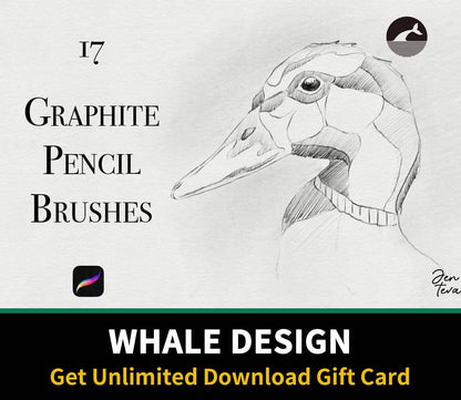 589 Graphite Pencils for Procreate - whaledesign