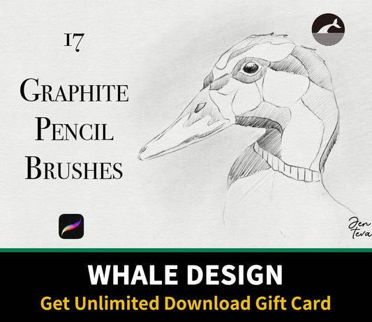 589 Graphite Pencils for Procreate - whaledesign