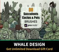 607 Cactus Succulents and Pots - Procreate Brushes - whaledesign