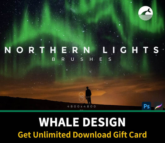 624 Northern Lights Brushes - whaledesign